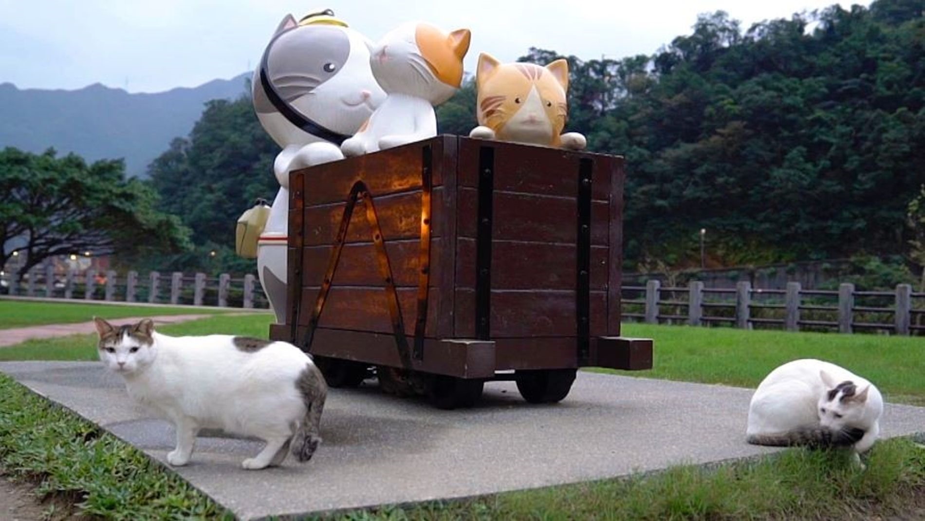 侯硐猫村