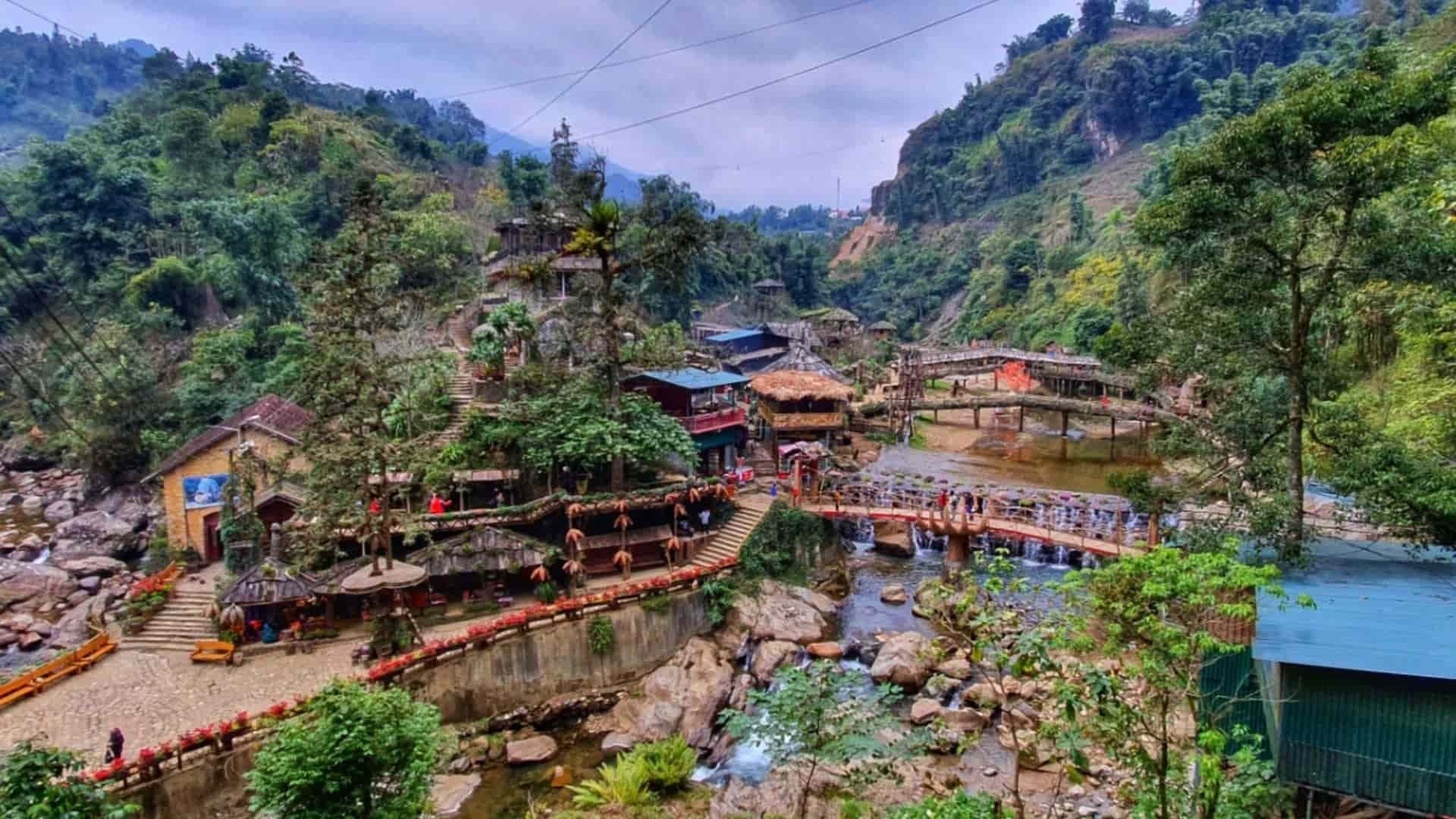 猫猫村