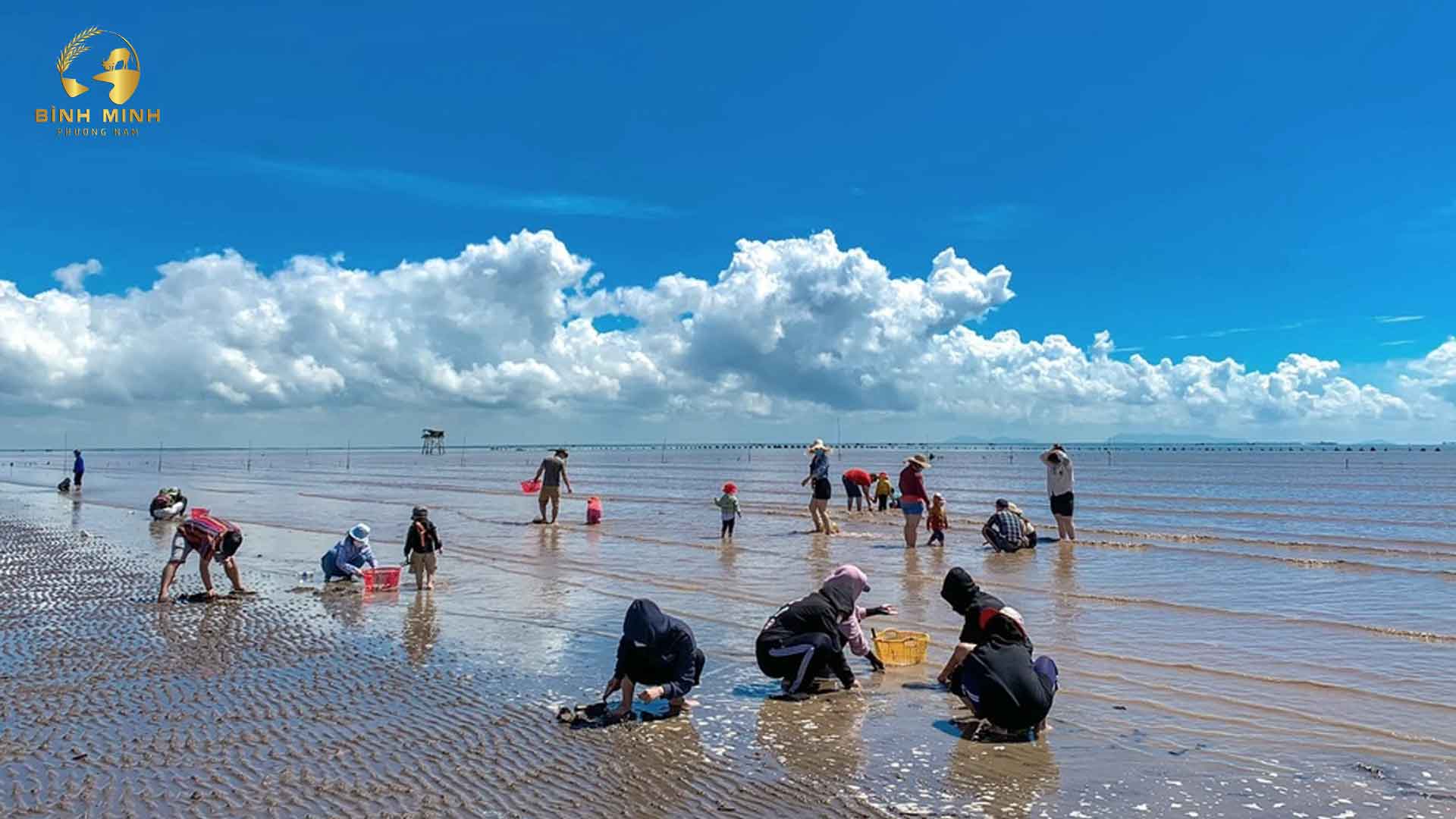 在新城海滩挖蛤蜊